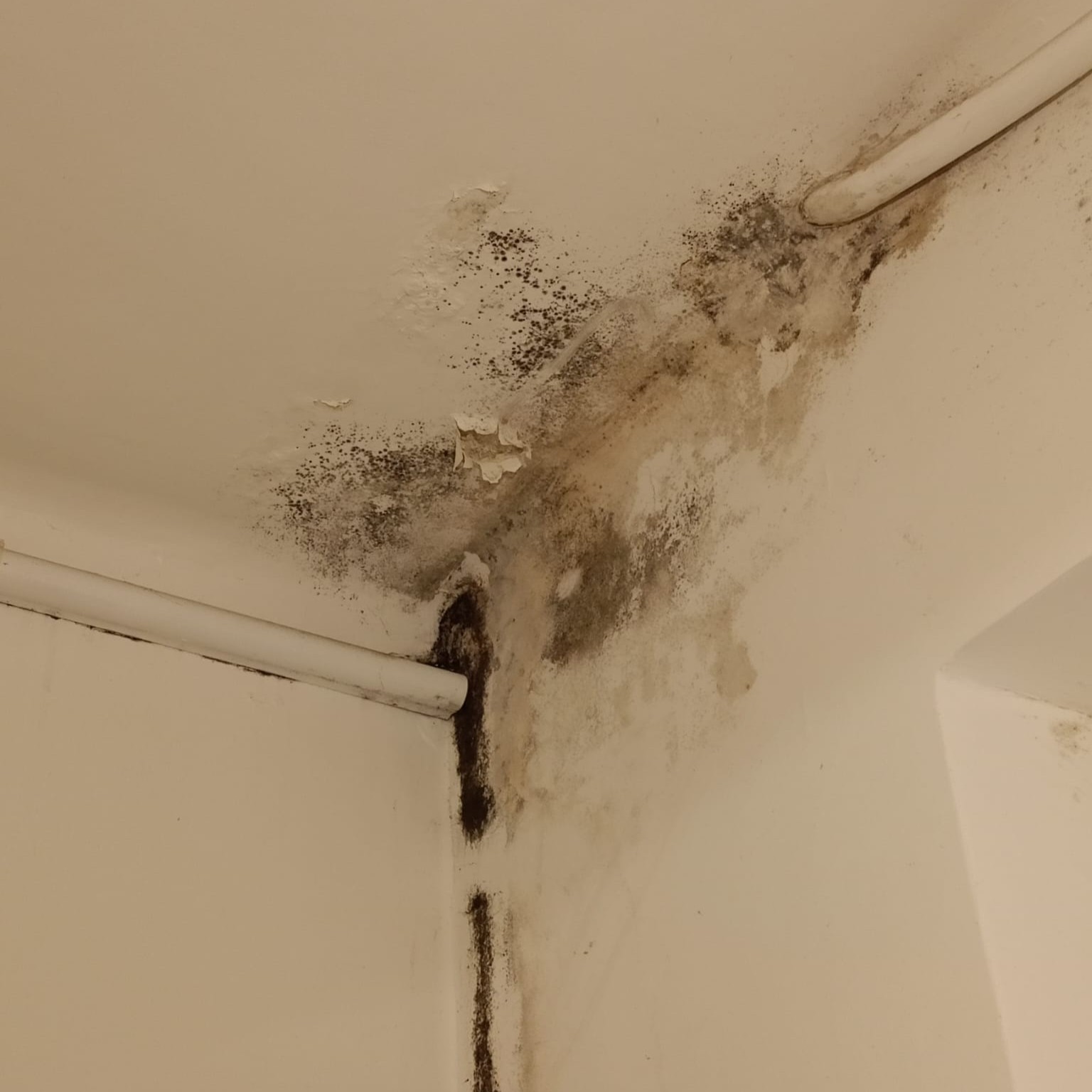 Ambiente da ristrutturare prima